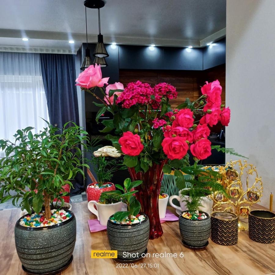 House B&B 梅斯蒂亚 外观 照片