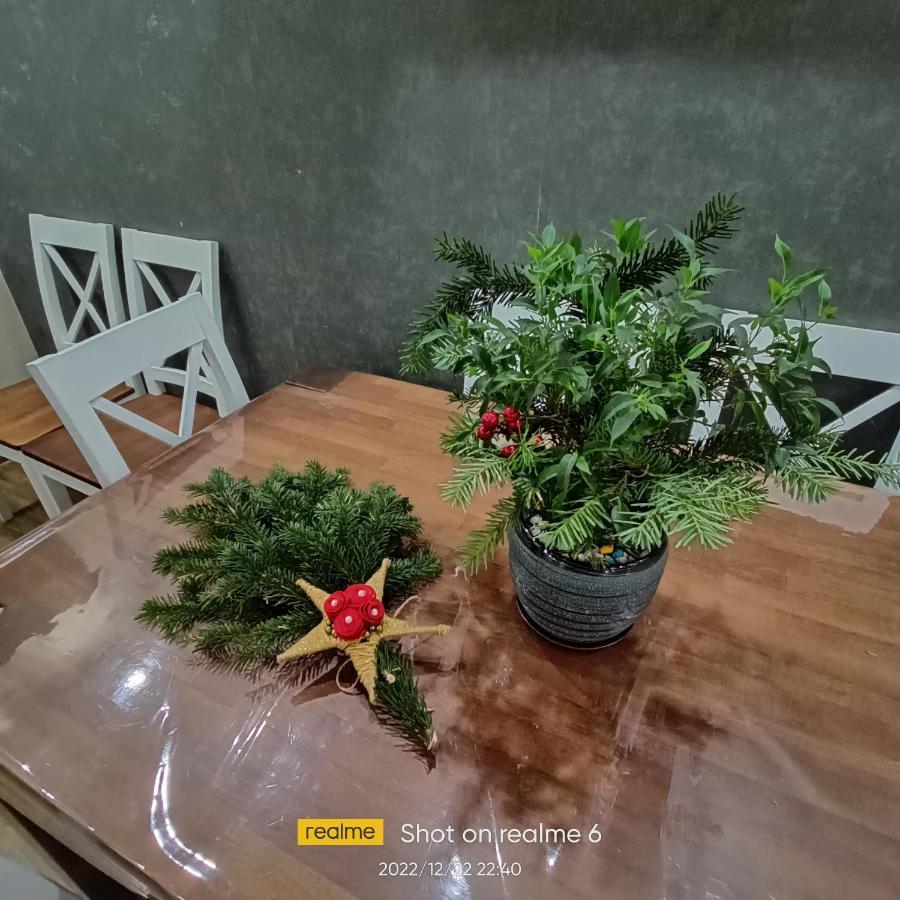 House B&B 梅斯蒂亚 外观 照片